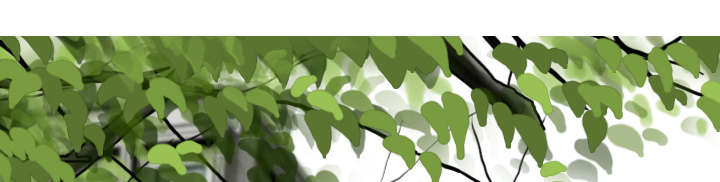 黑桃漫画,第68章：讨要饭钱1图