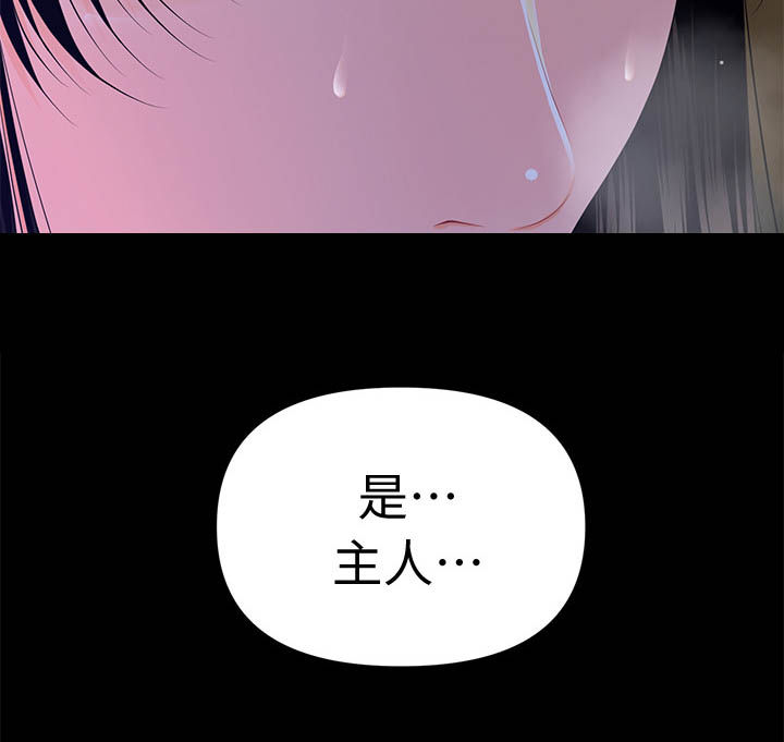 评分规定漫画,第30章：品质5图