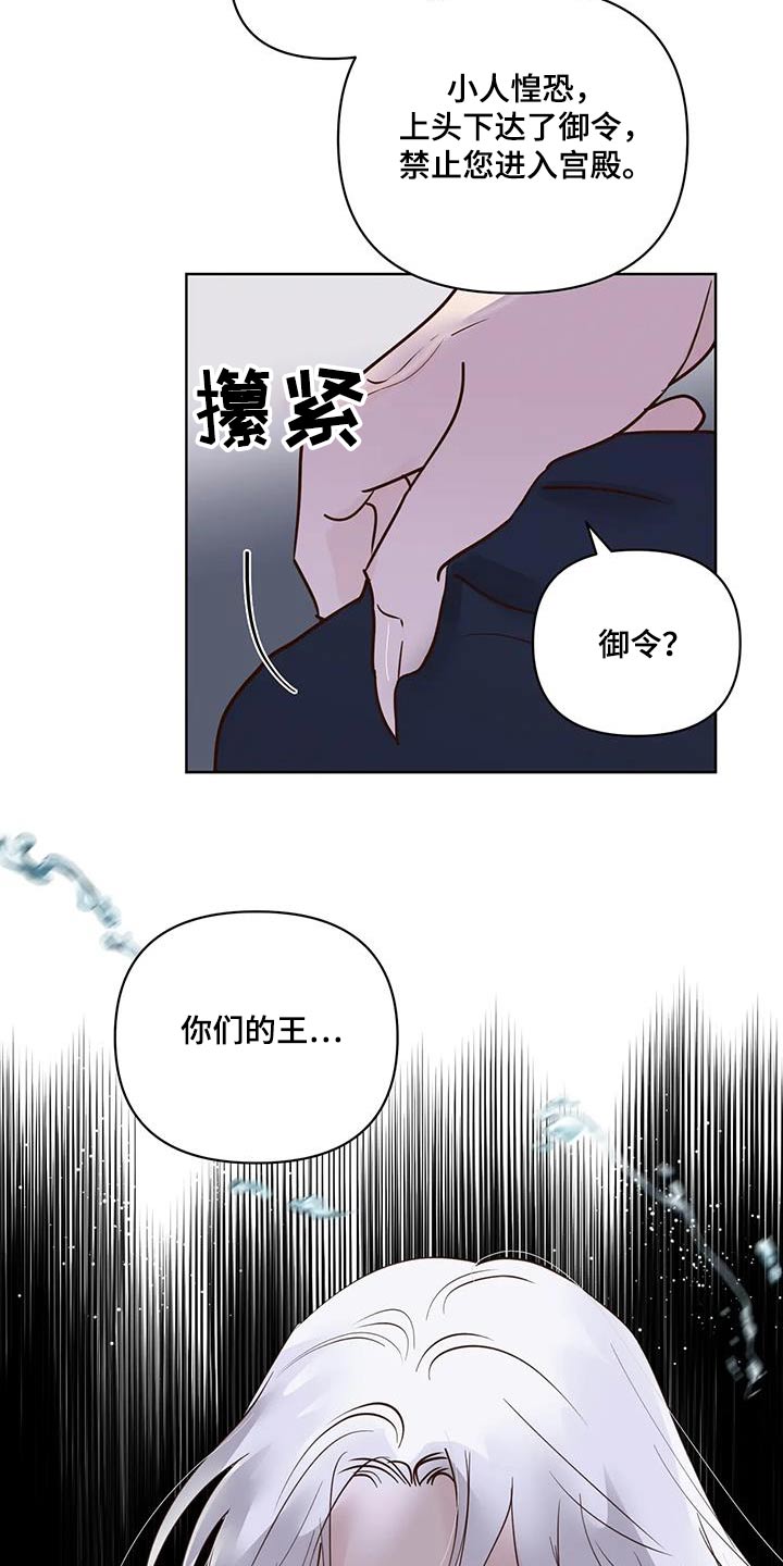 龟兔同行漫画,第89章：入口3图