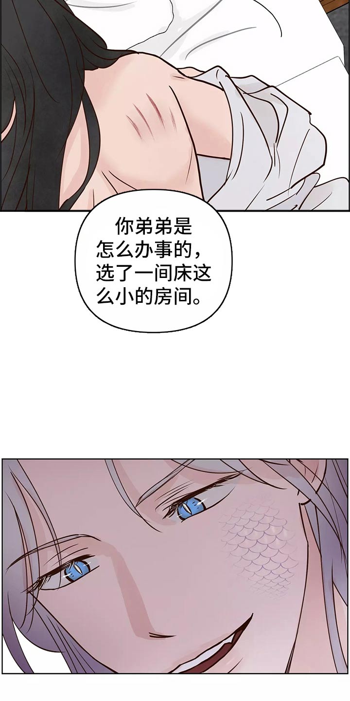 龟兔的意思是什么漫画,第63章：开始2图