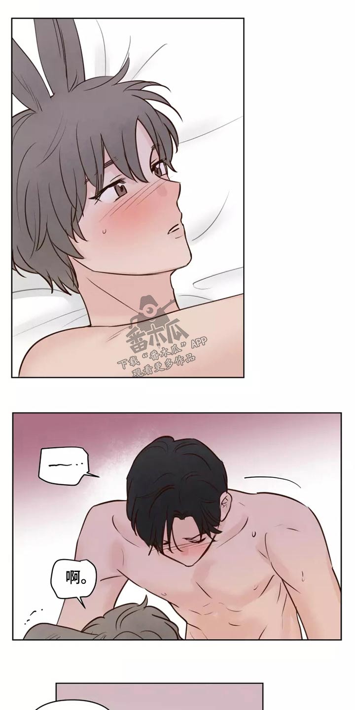 龟兔的意思是什么漫画,第43章：耳朵1图