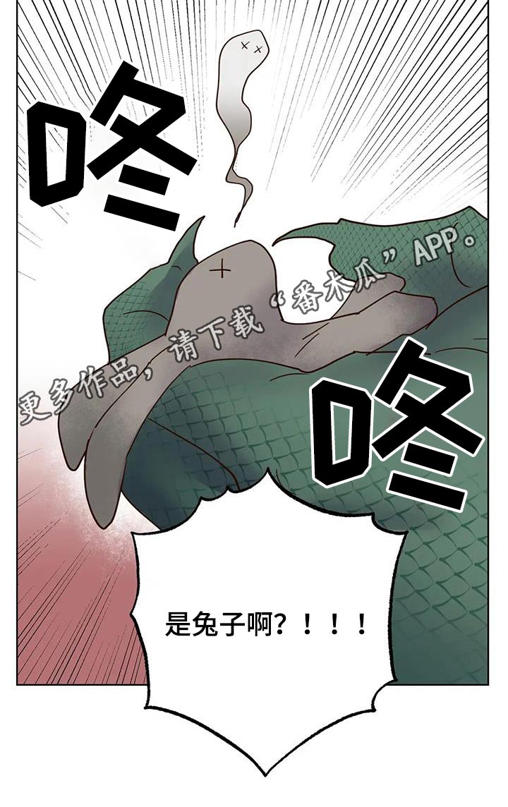 龟兔同行漫画,第90章：动静2图