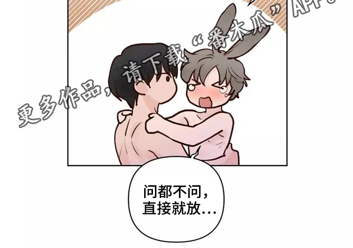 龟兔的意思是什么漫画,第52章：快说4图