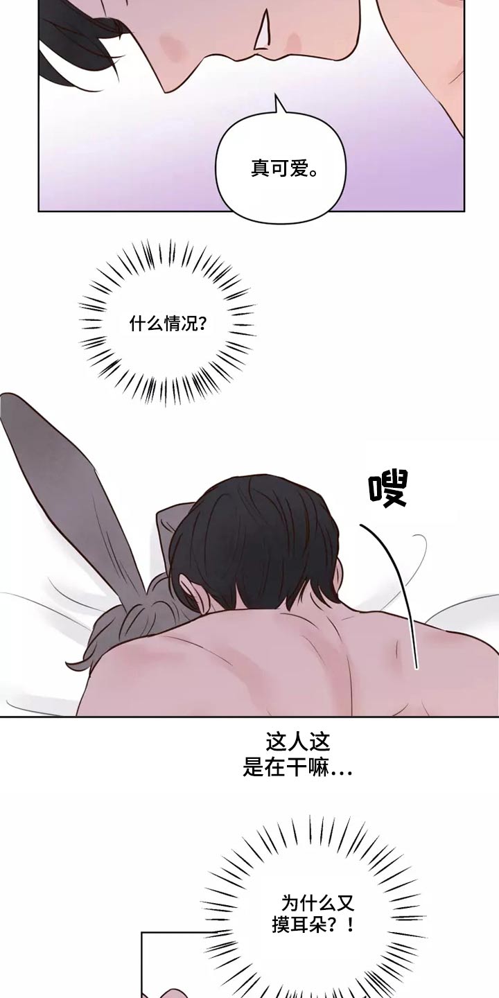 龟兔的意思是什么漫画,第43章：耳朵2图