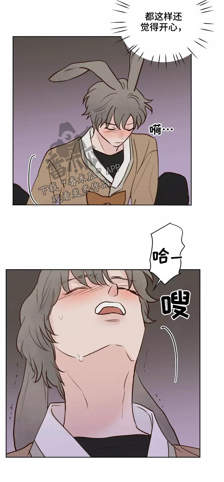 龟兔同行的图片漫画,第58章：让我看看5图