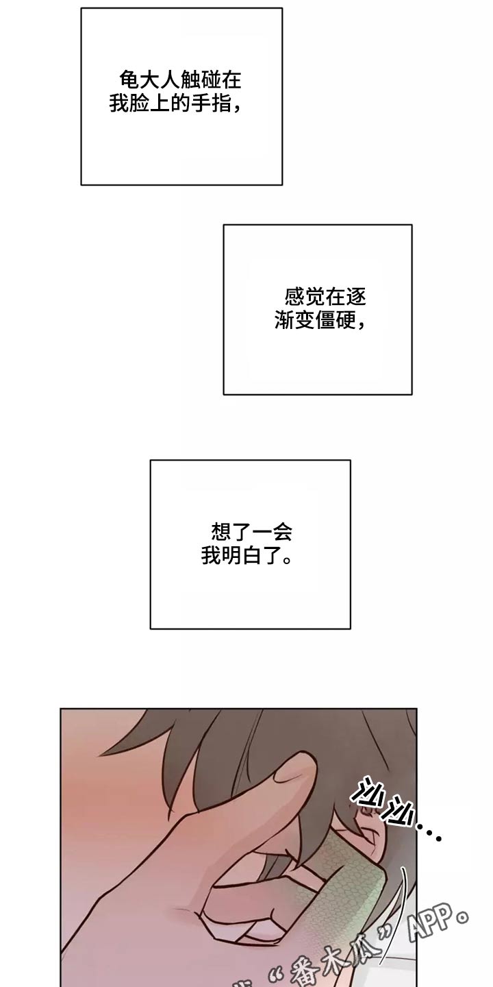 龟兔同行的图片漫画,第51章：有什么理由5图