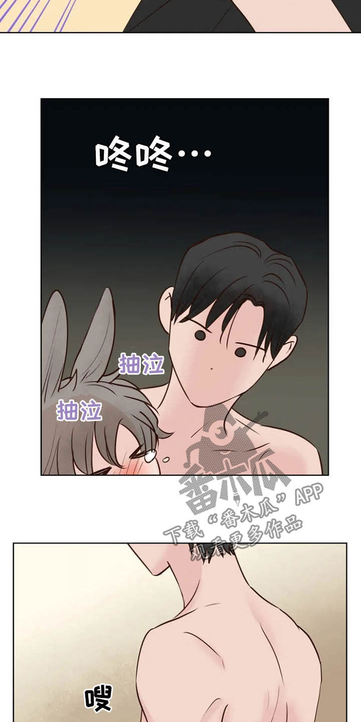 龟兔的意思是什么漫画,第19章：任重道远4图