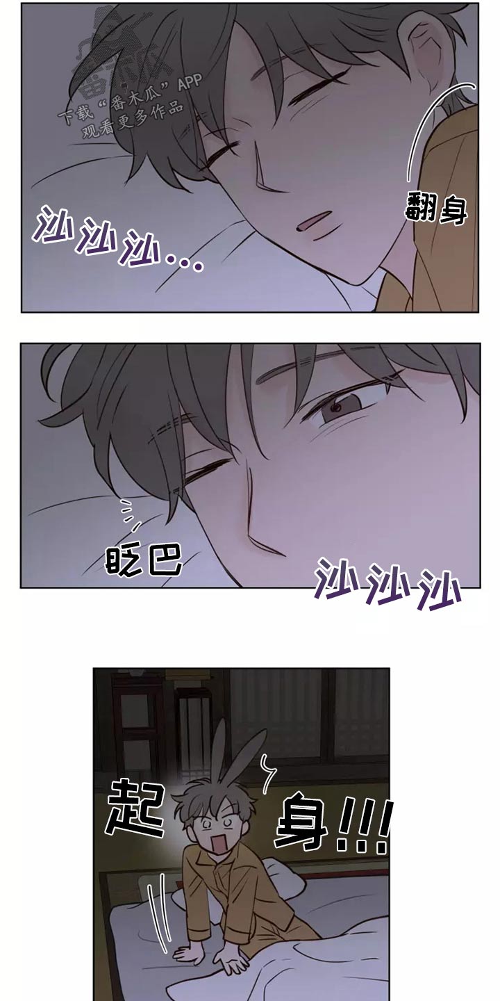 龟兔同行漫画,第44章：小偷？1图