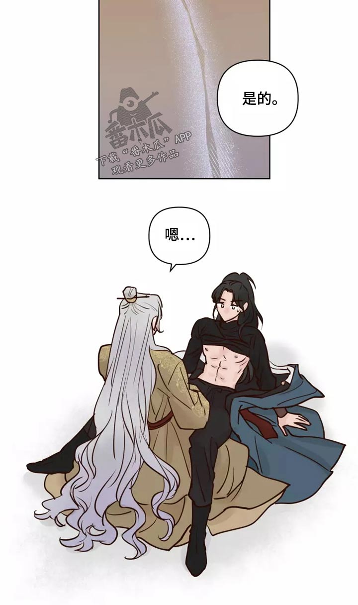 龟兔同行的图片漫画,第55章：汇报1图