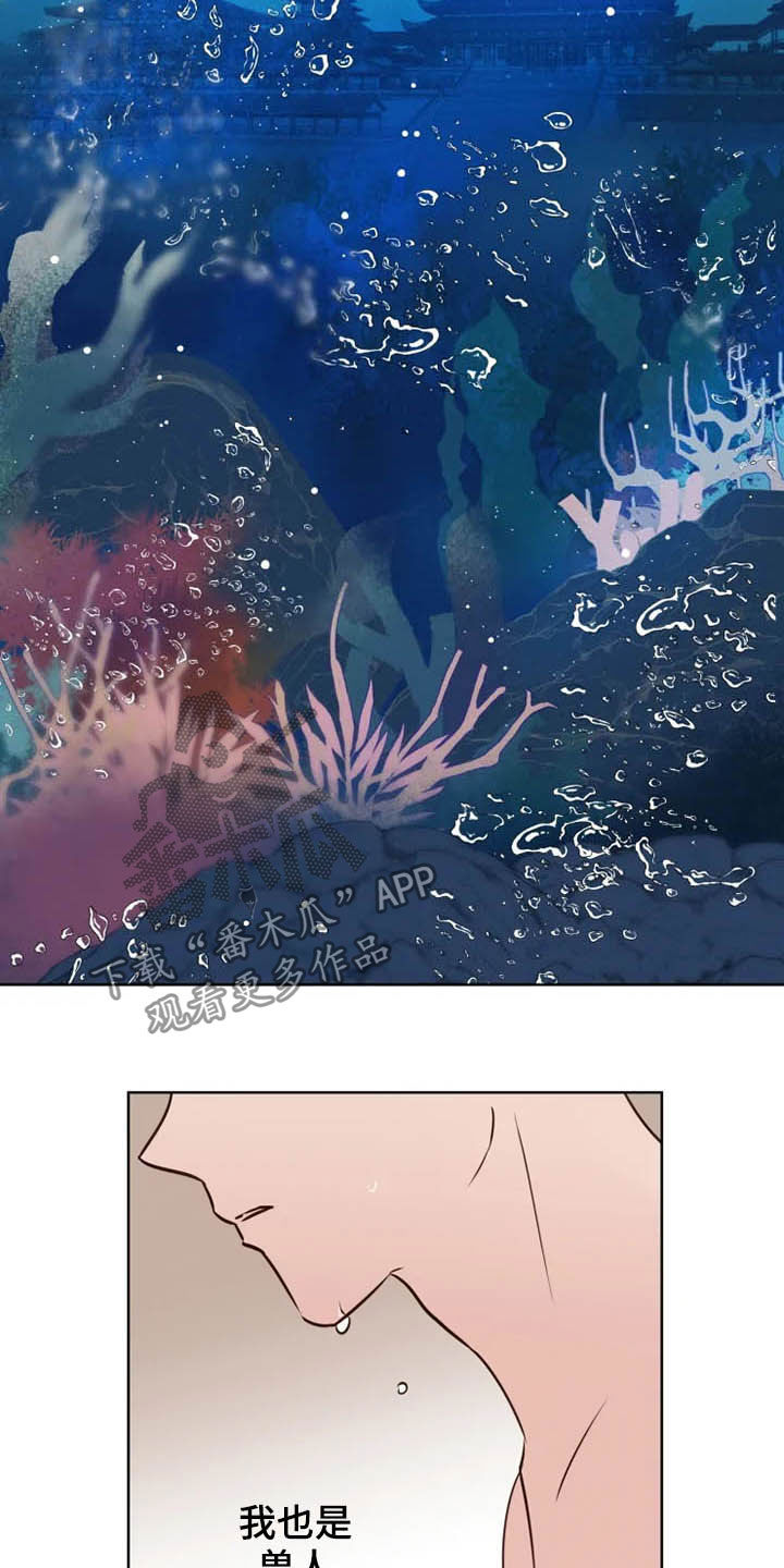 龟兔同行漫画,第18章：特别大使5图