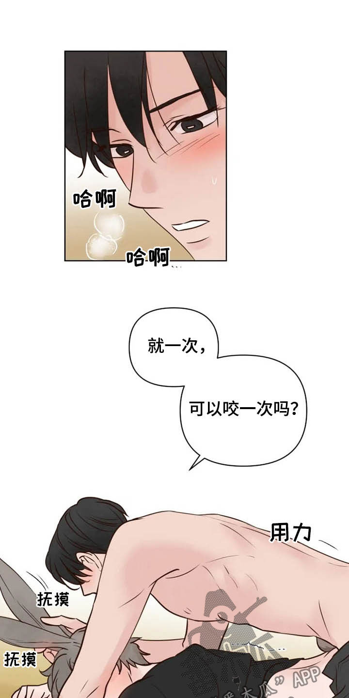 龟兔同笼题目漫画,第19章：任重道远5图
