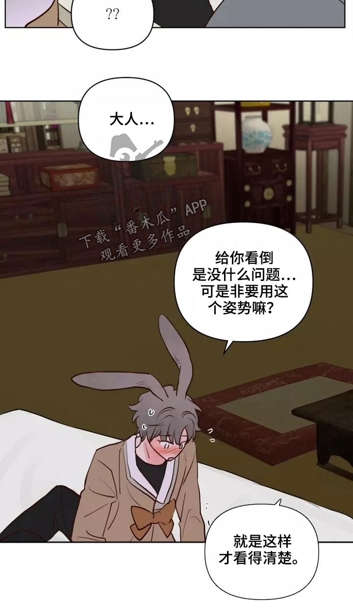 龟兔同行的图片漫画,第58章：让我看看3图