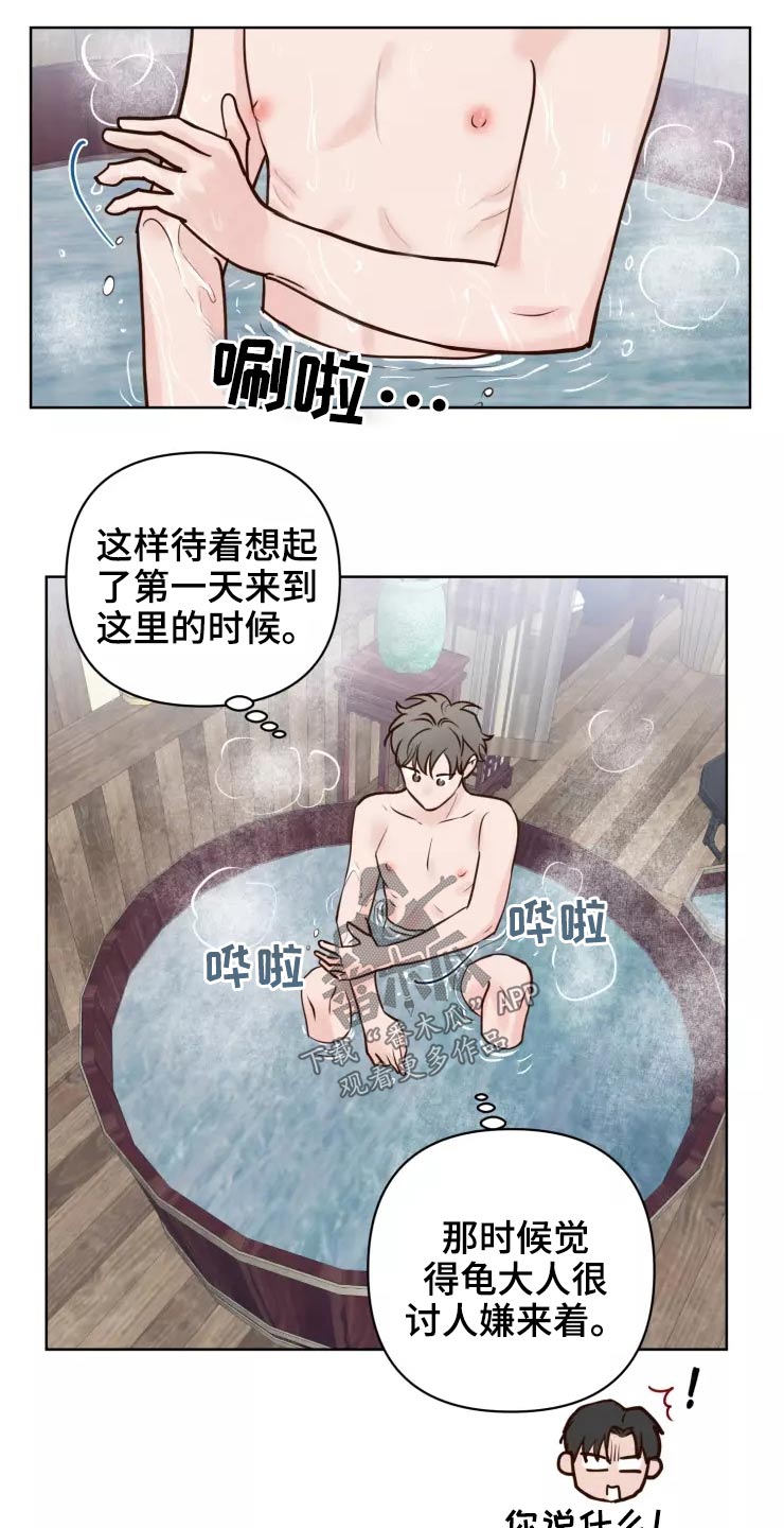 龟兔赛跑的读后感漫画,第49章：很温柔5图
