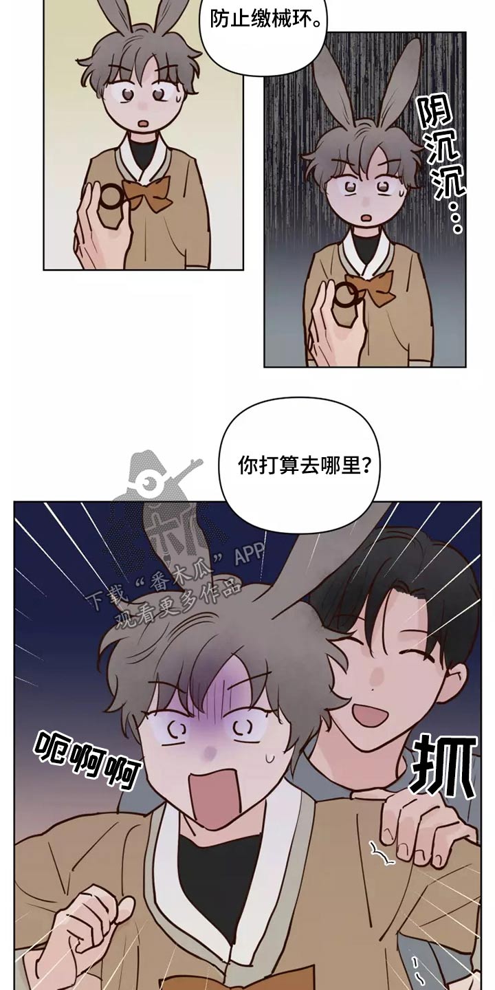 龟兔同行的图片漫画,第58章：让我看看2图