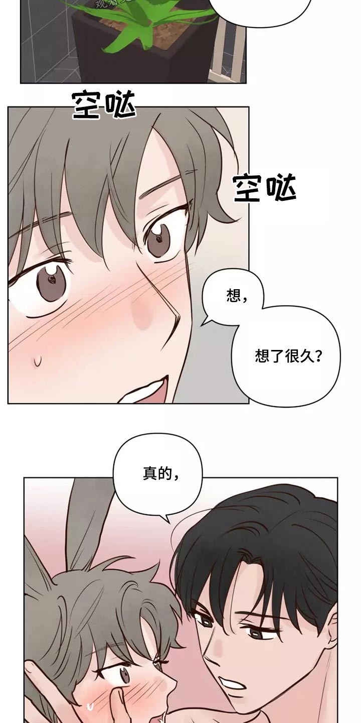 龟兔同行漫画,第53章：处理4图