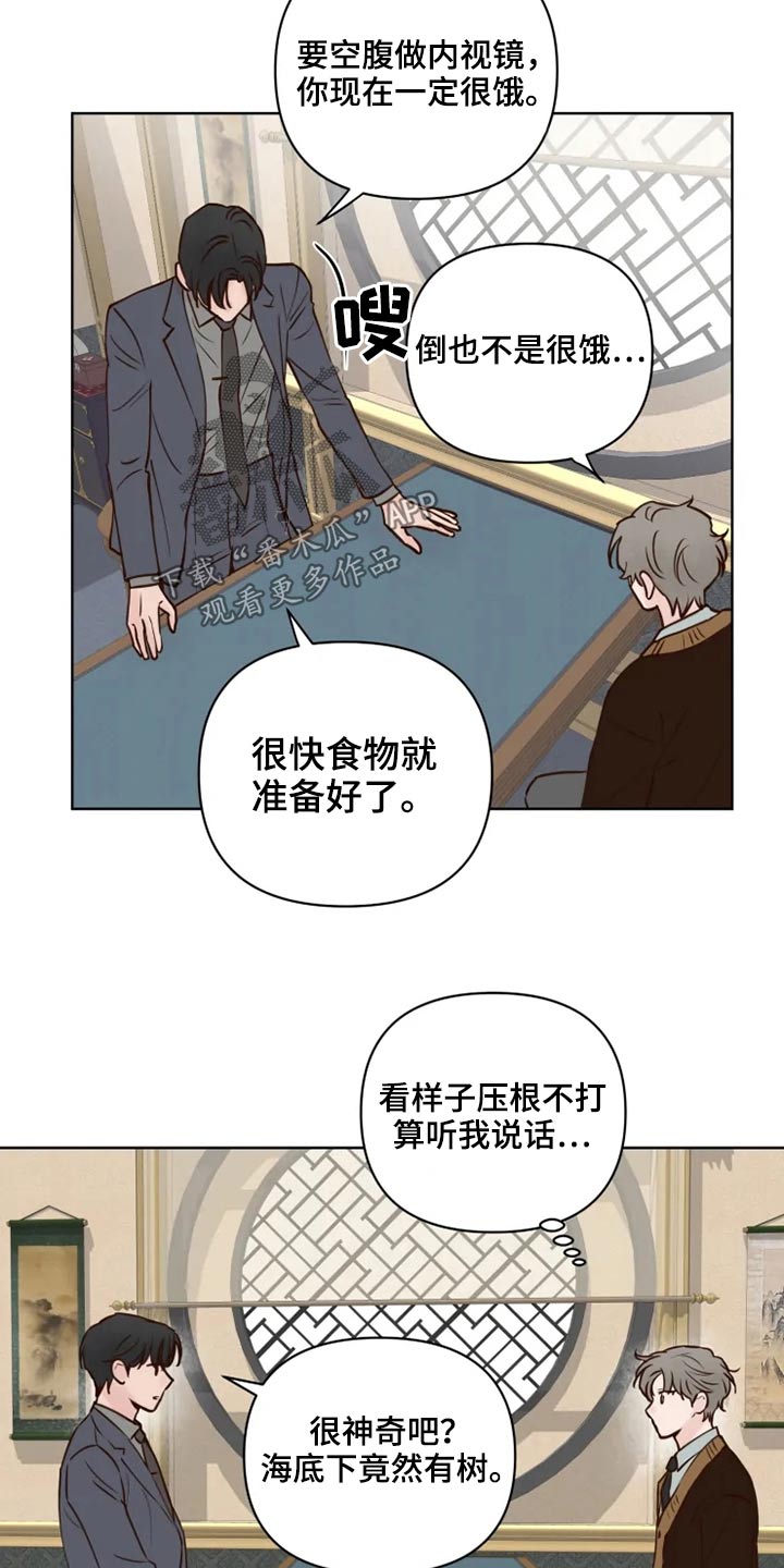 龟兔同行韩漫漫画,第36章：到访3图