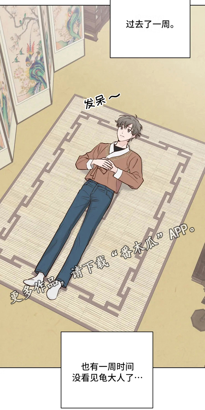 龟兔同行漫画,第11章：决心3图