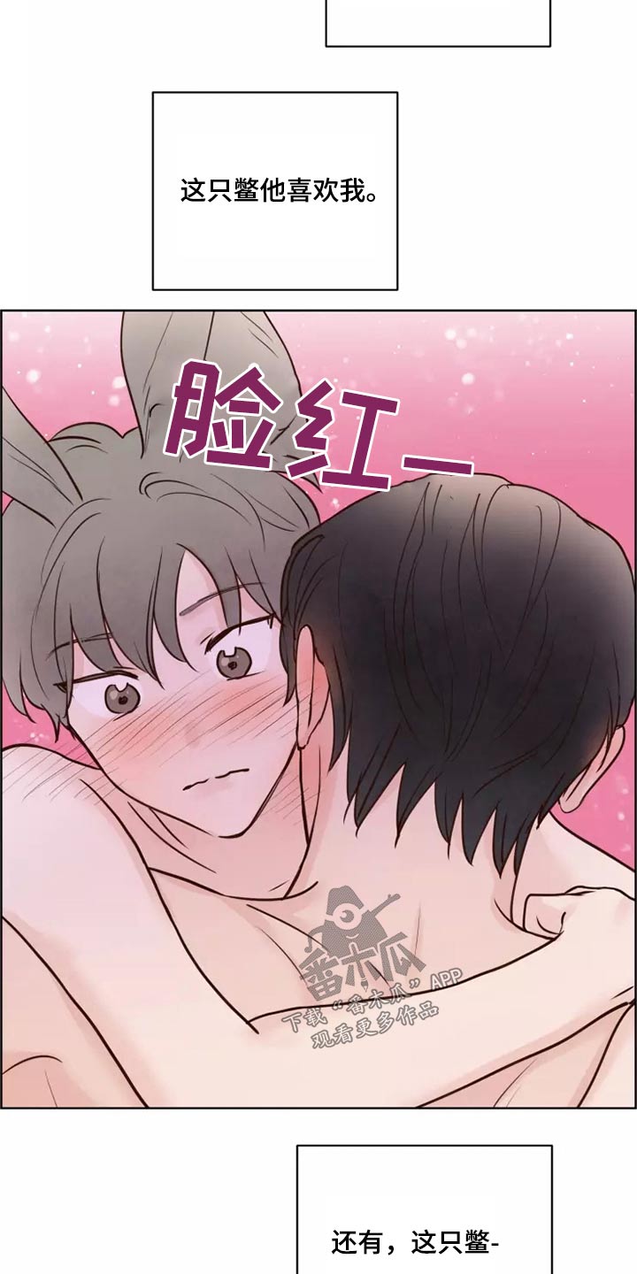 龟兔的意思是什么漫画,第52章：快说2图
