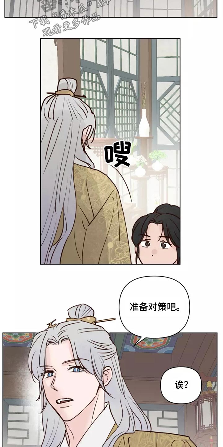 龟兔同行的图片漫画,第55章：汇报3图