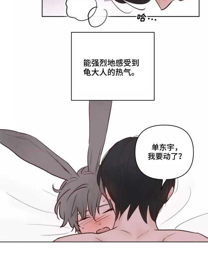 龟兔的意思是什么漫画,第43章：耳朵3图