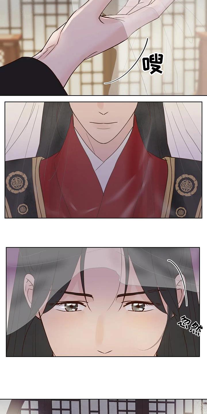 龟兔同行漫画,第108章：婚礼3图