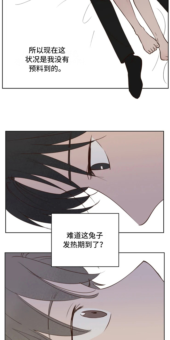 龟兔同行漫画,第7章：不情愿3图