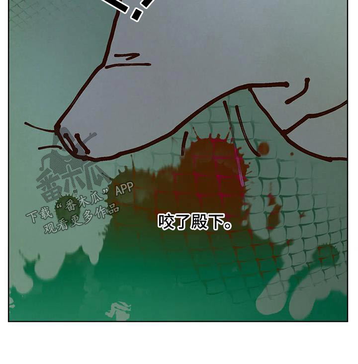 龟兔在一起赛跑的英文漫画,第93章：啃咬3图