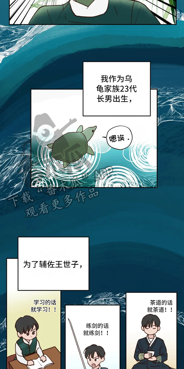 龟兔同行漫画,第6章：混乱2图