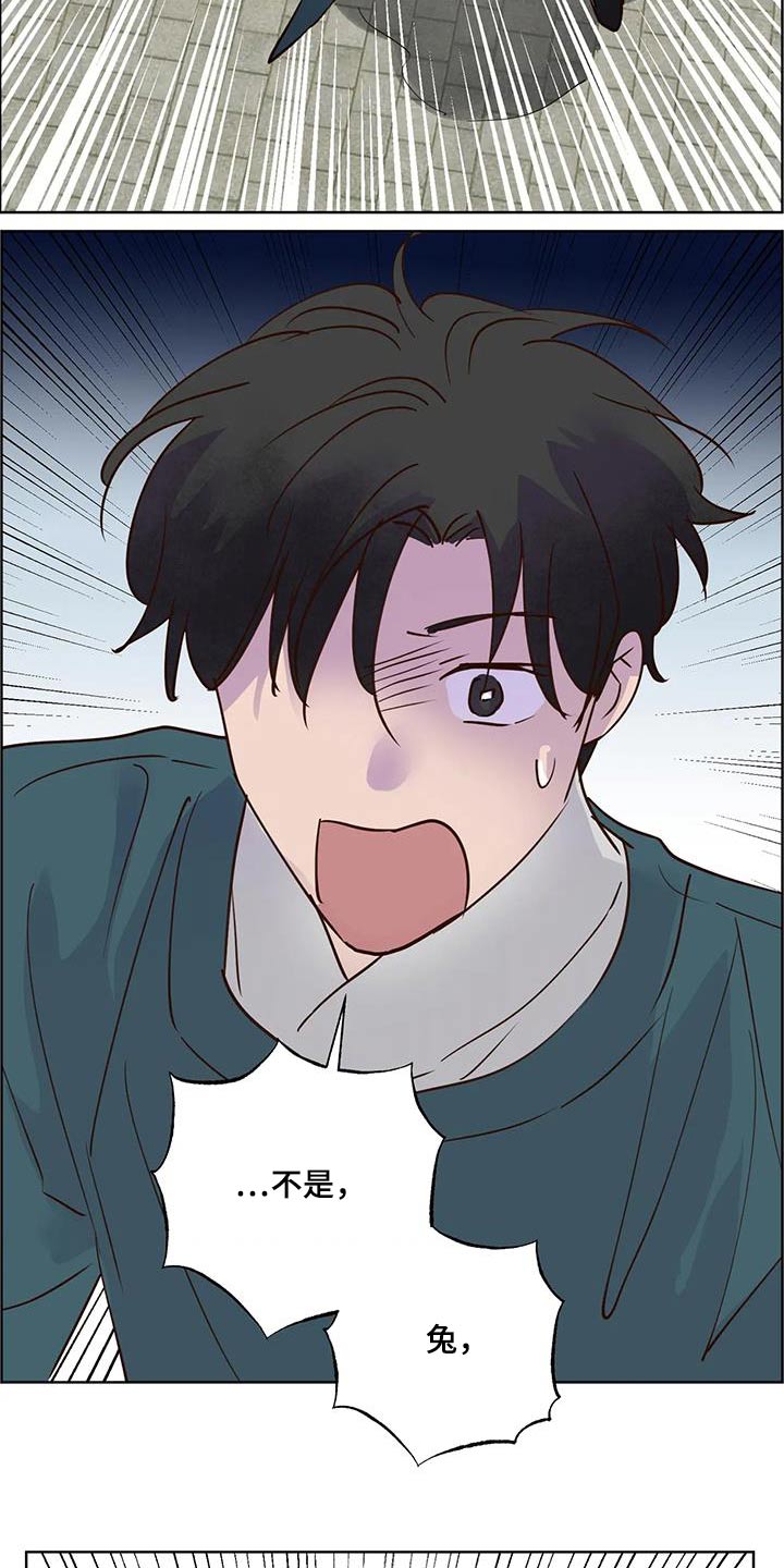 龟兔同行漫画,第90章：动静1图