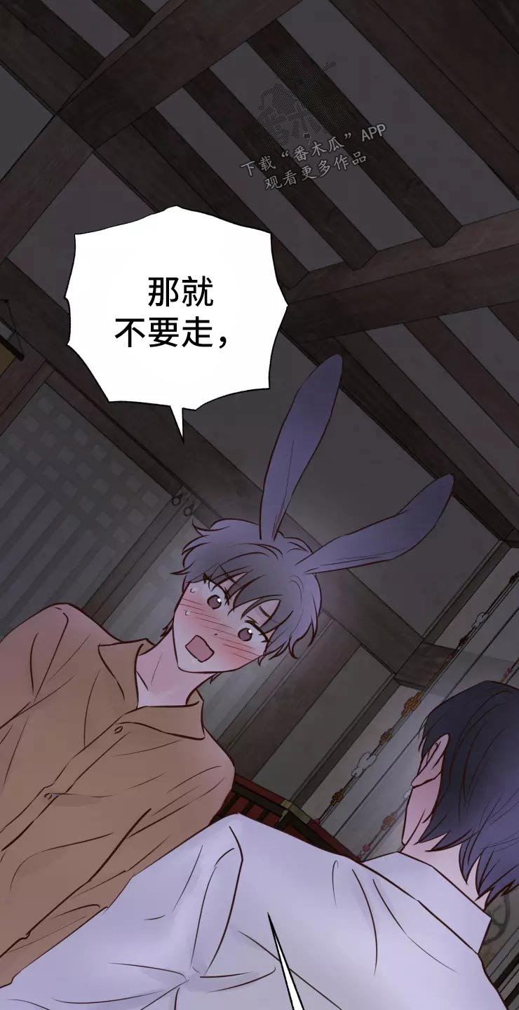 龟兔同行漫画,第45章：走之前2图