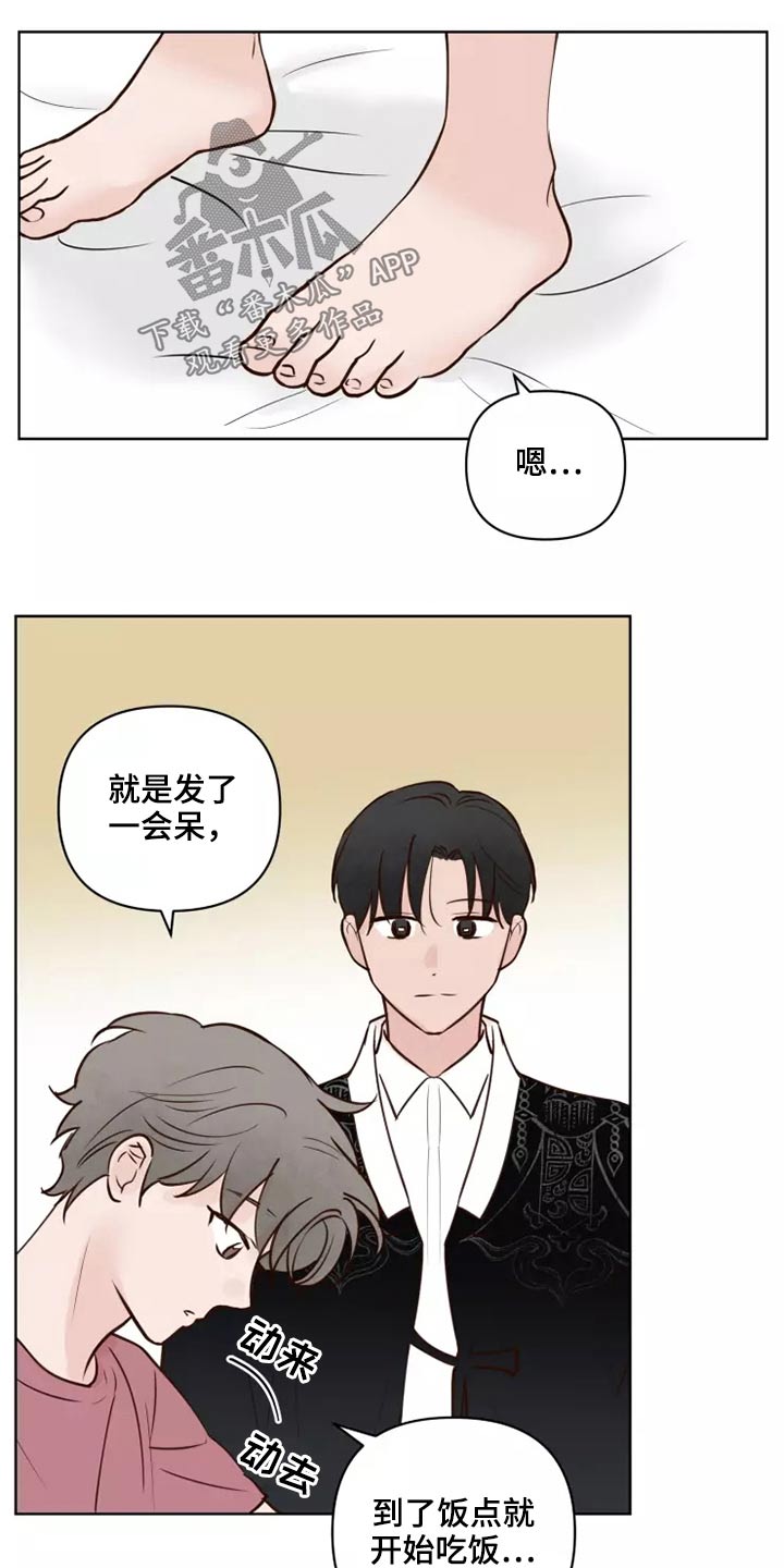龟兔同行漫画,第50章：协议袋子5图