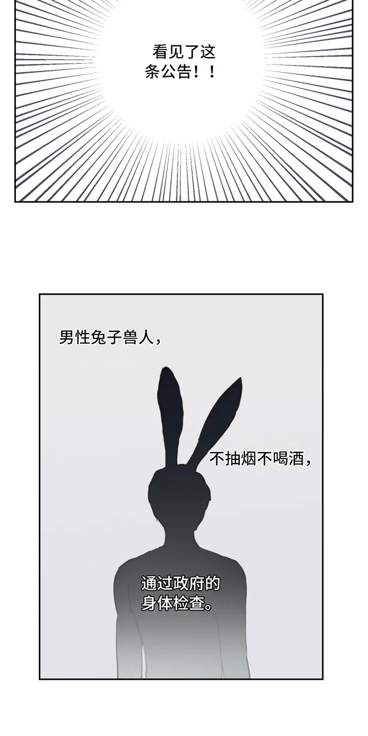 龟兔同行漫画,第2章：到达2图