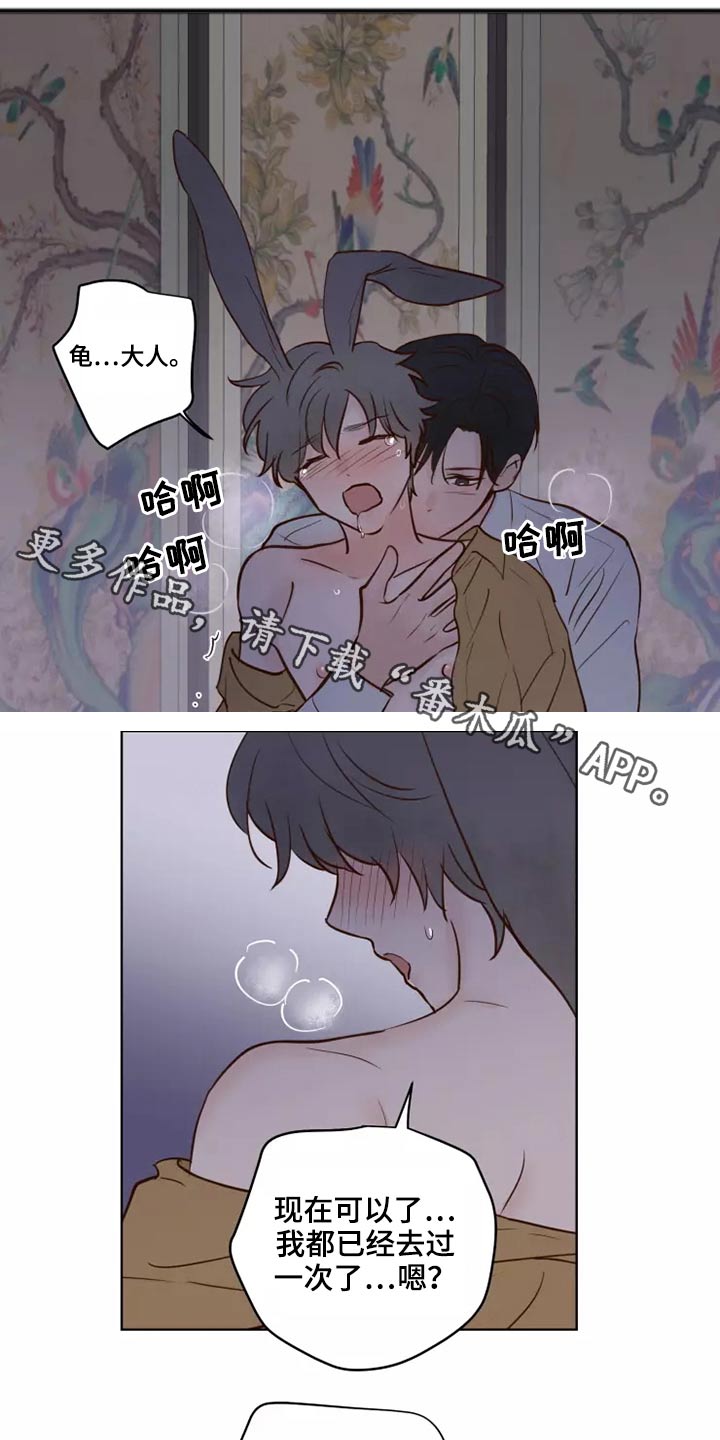 龟兔同行漫画,第46章：协议1图
