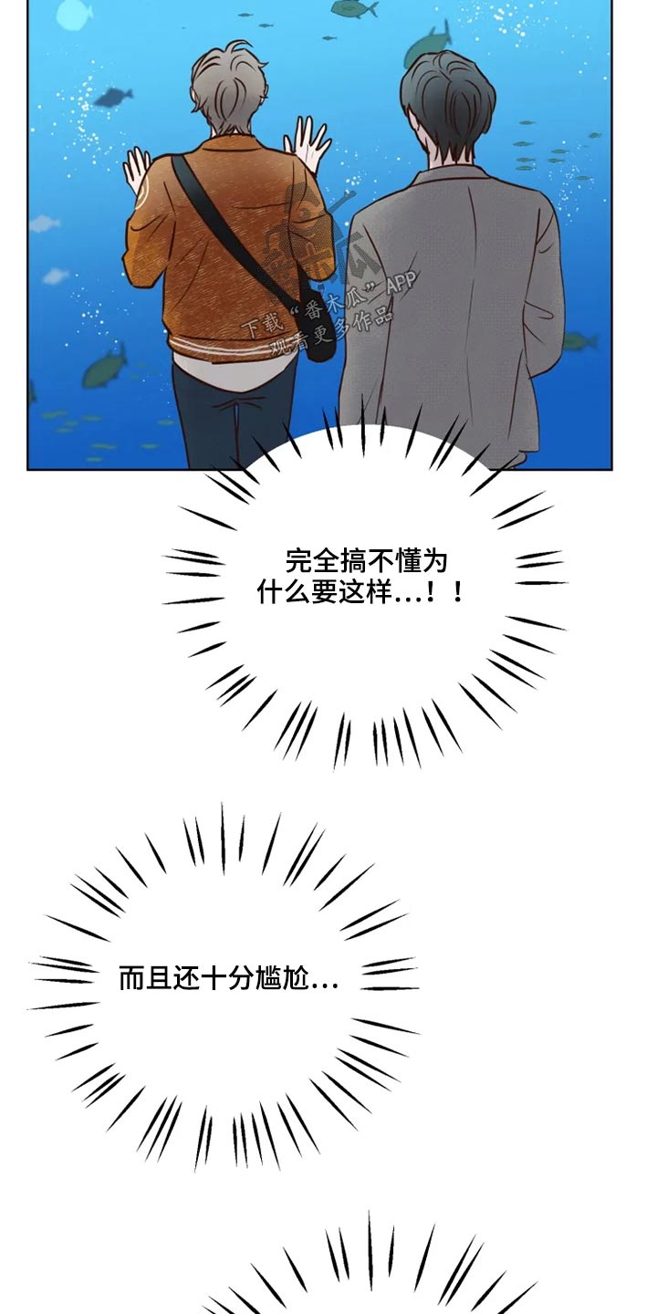 龟兔同行漫画,第27章：公园2图