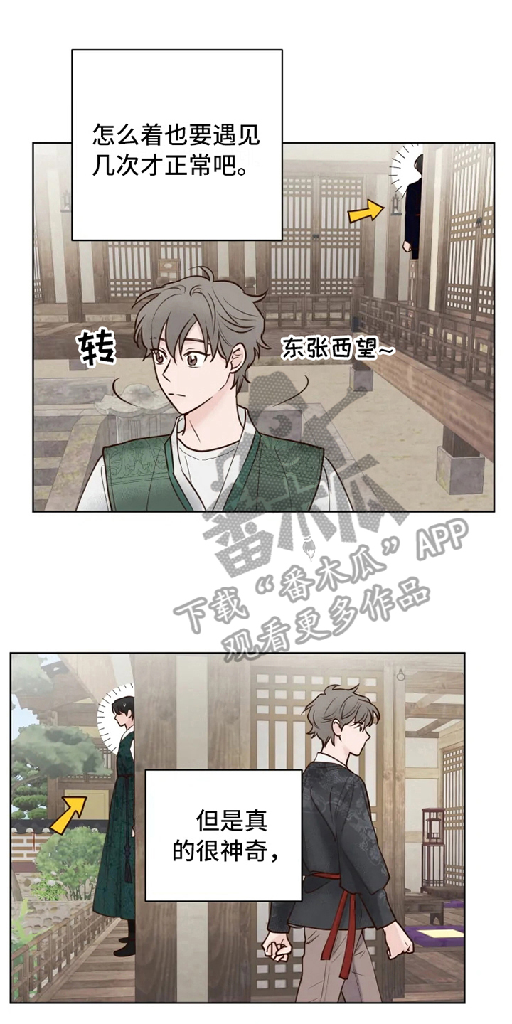 龟兔同行韩漫漫画,第12章：躲避1图