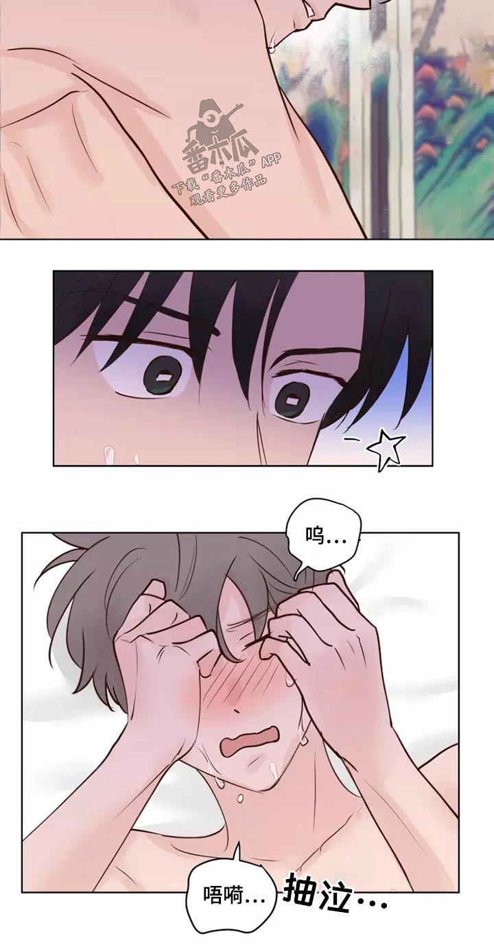 龟兔的意思是什么漫画,第52章：快说5图