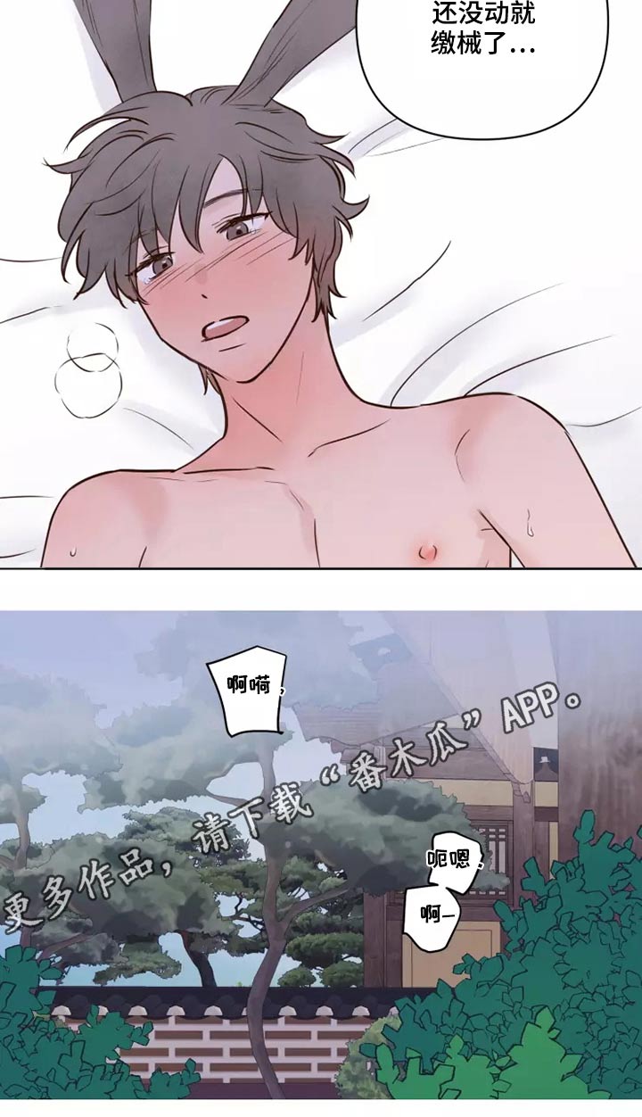 龟兔的意思是什么漫画,第43章：耳朵2图