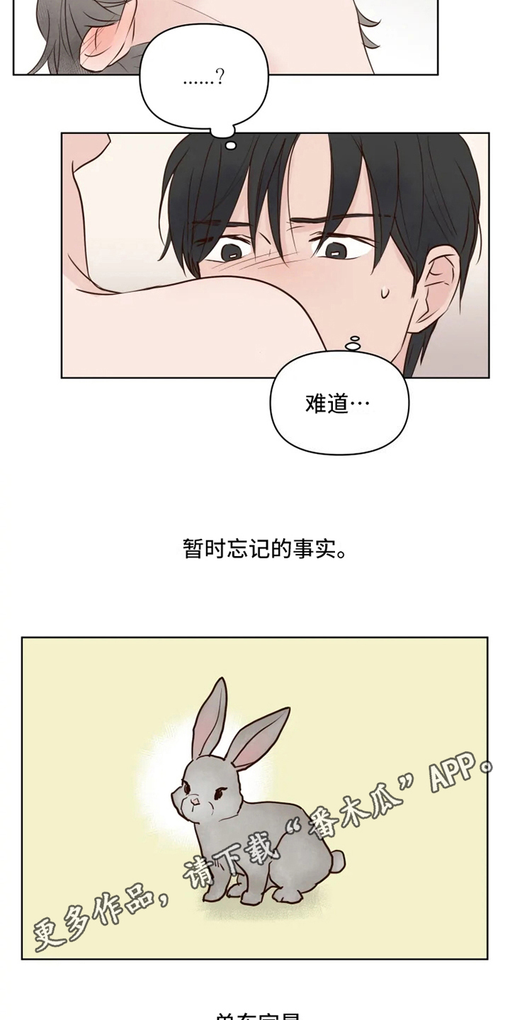 龟兔同行漫画,第9章：忘记1图