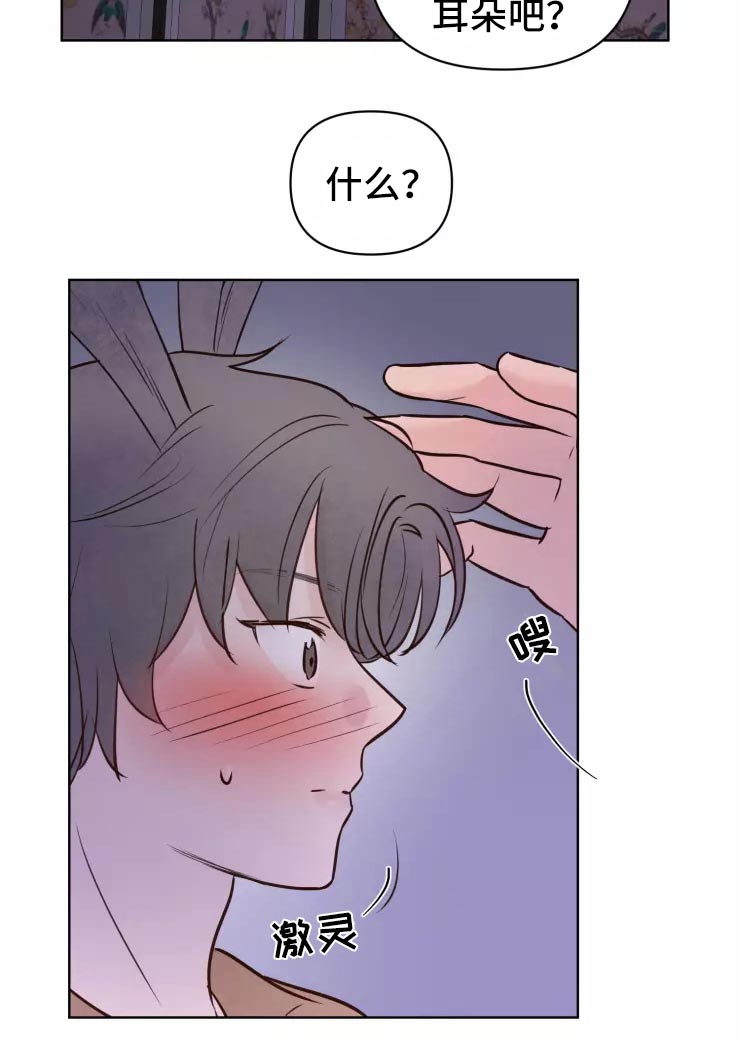 龟兔同行漫画,第45章：走之前1图