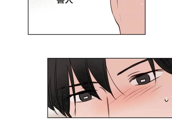 龟兔同行漫画,第18章：特别大使1图