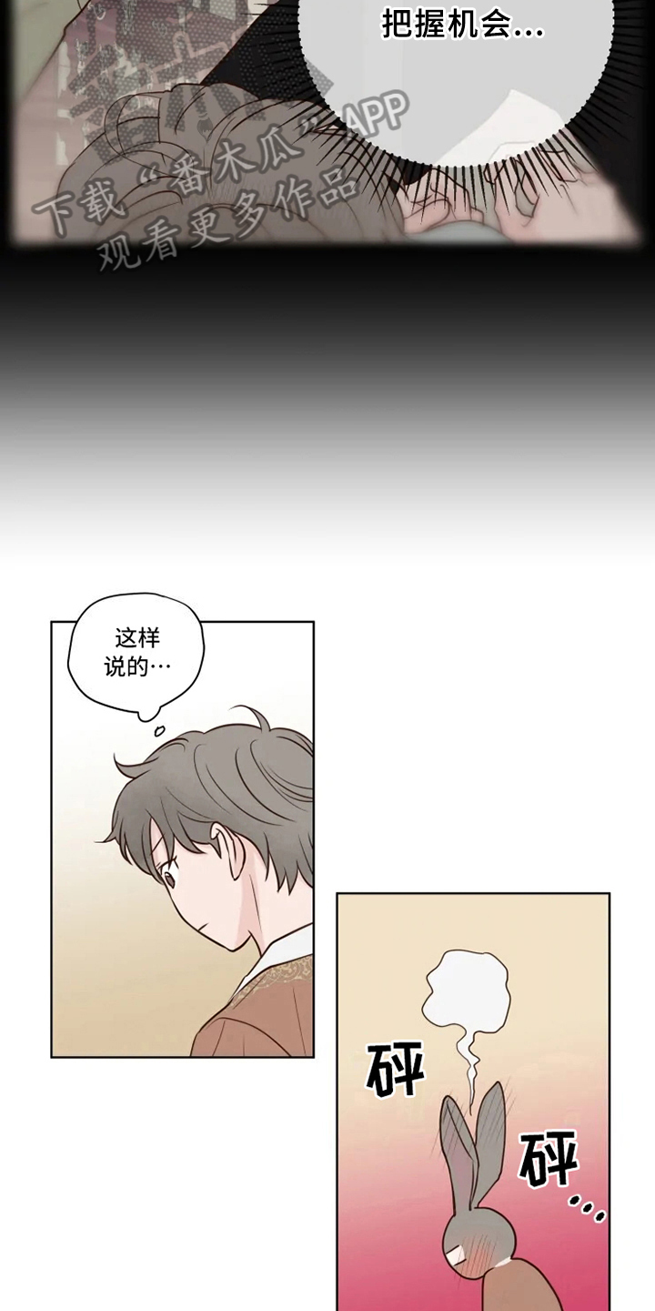 龟兔同行韩漫漫画,第12章：躲避5图