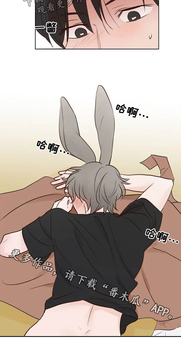 龟兔的意思是什么漫画,第17章：补回来4图