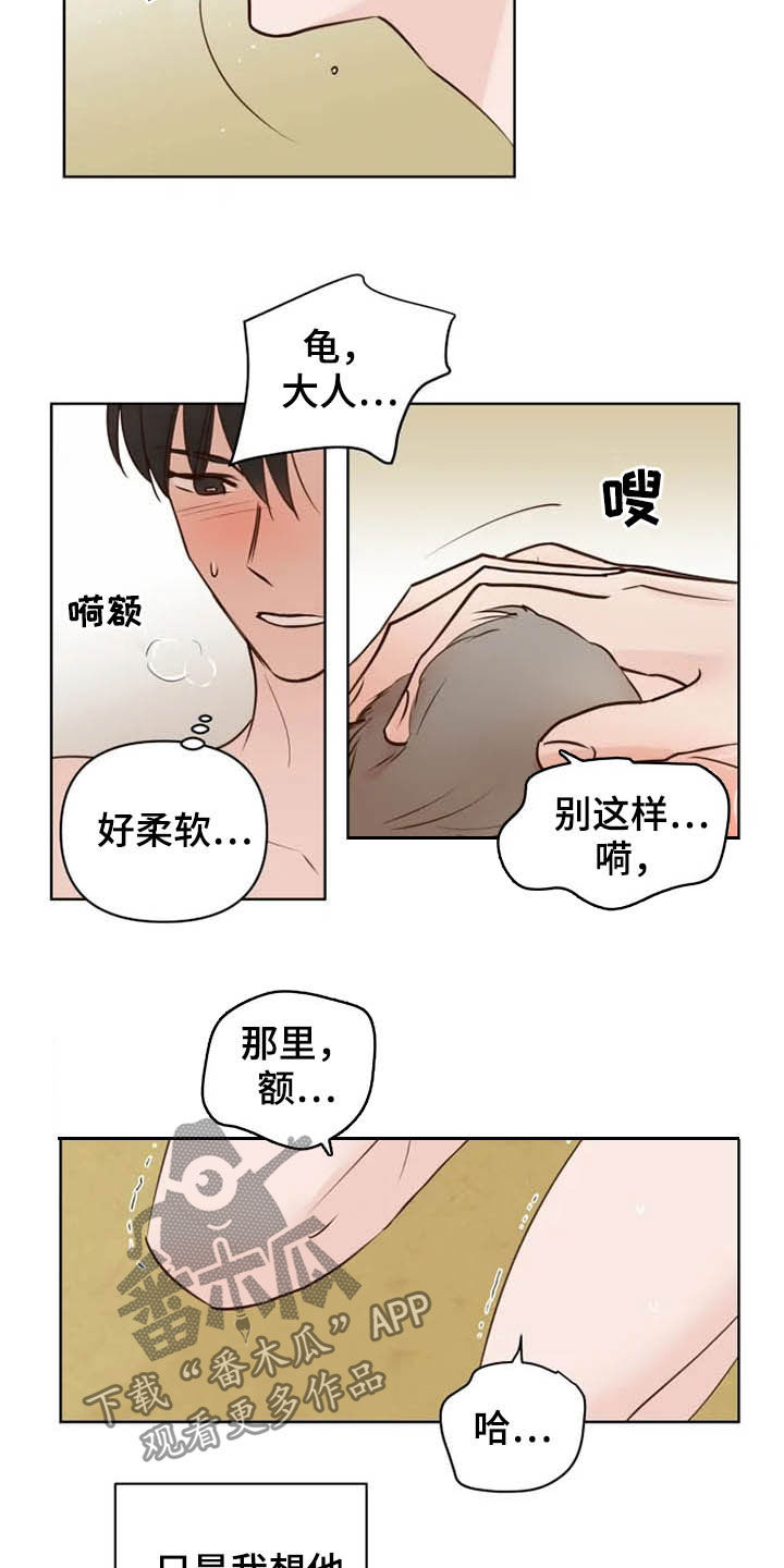 龟兔同行漫画,第18章：特别大使3图