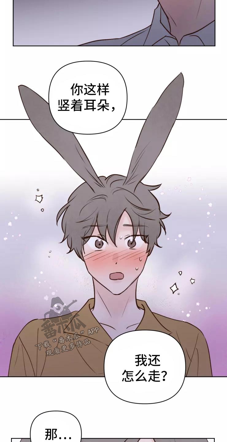 龟兔同行漫画,第45章：走之前5图