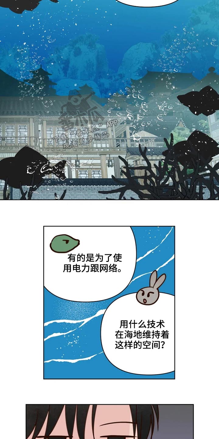 龟兔同行漫画,第35章：检测4图