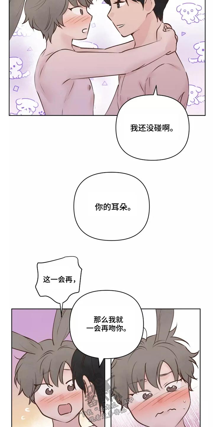 龟兔竞走漫画,第43章：耳朵3图
