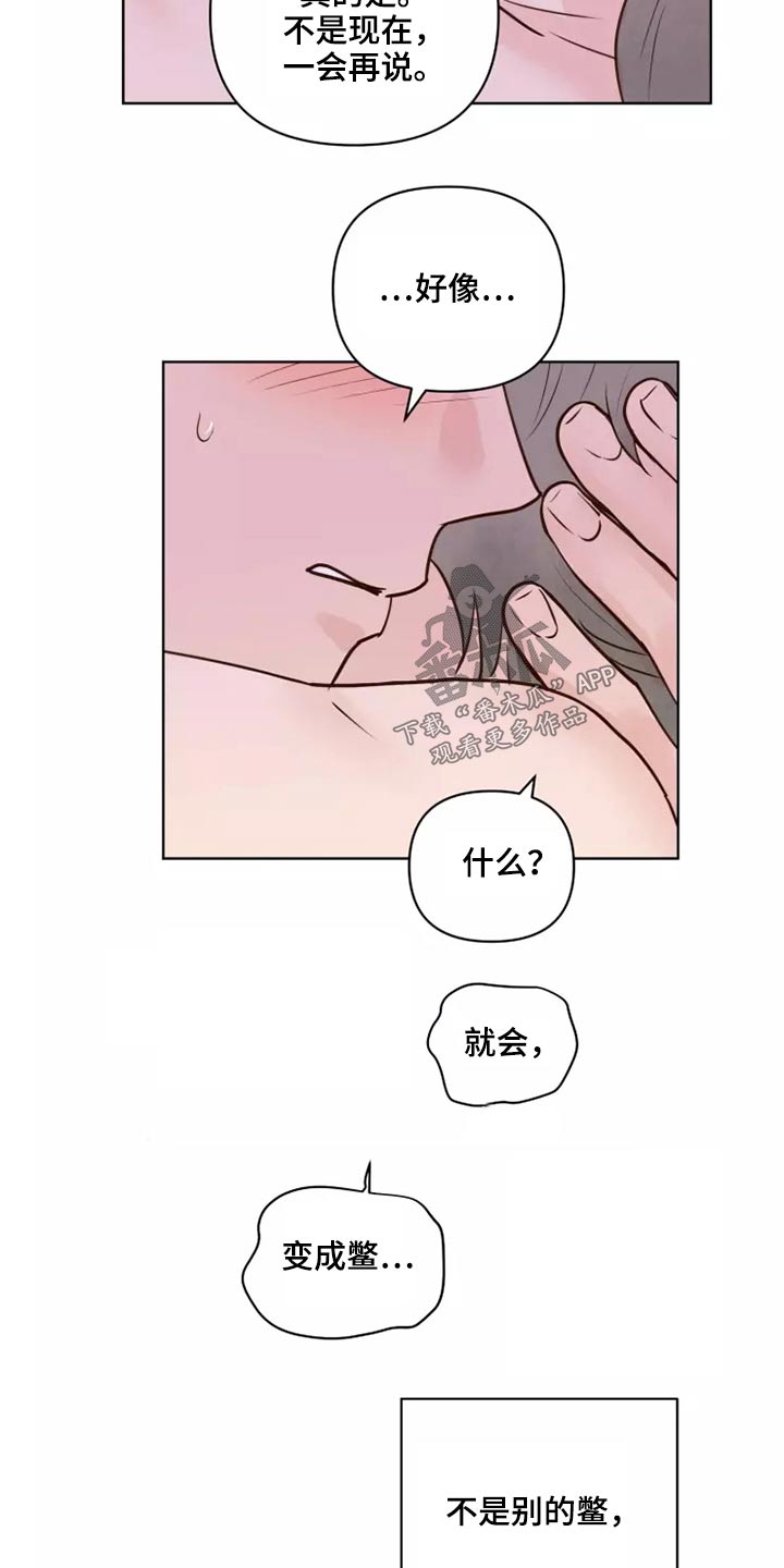 龟兔的意思是什么漫画,第52章：快说1图