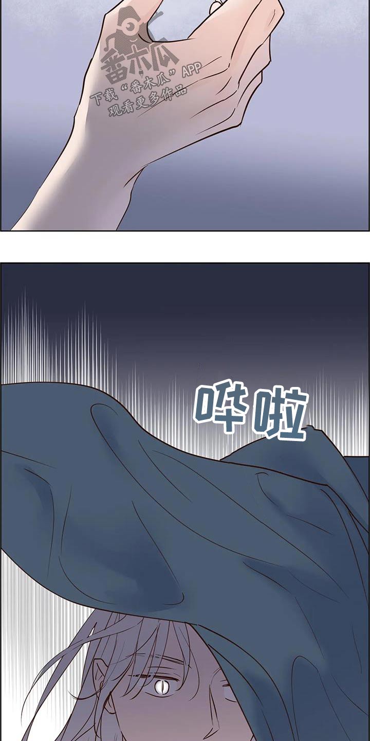 龟兔同行韩漫漫画,第94章：紧急时刻1图