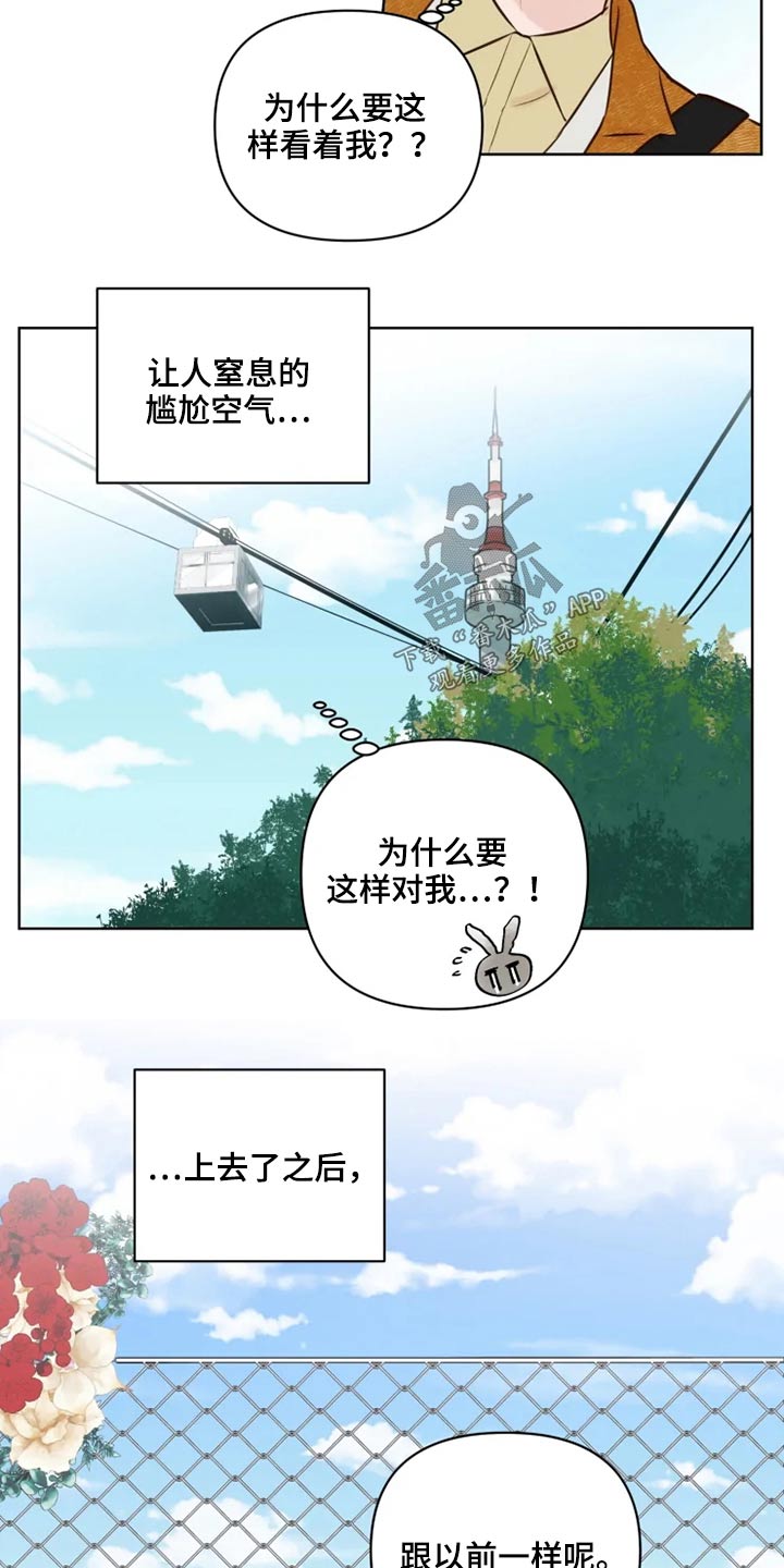 龟兔同养漫画,第26章：想去的地方4图