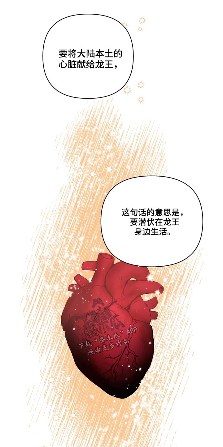 兔兔和龟龟漫画,第39章：协议书4图